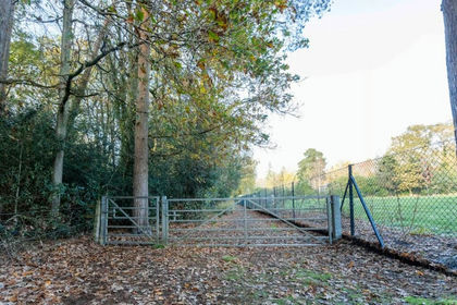 Land for sale in Surrey Heath