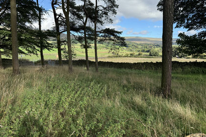 5.5 acres of Recreational Land for sale in