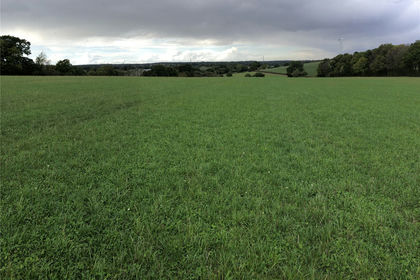 26.6 acres of Agricultural Land for sale in Frome