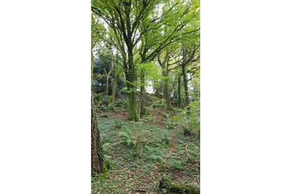 4 acres of Woodland for sale in