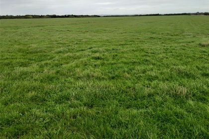 15.2 acres of Pasture for auction in Bridgwater