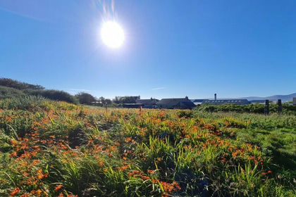 Development Land for sale in Orkney and Shetland