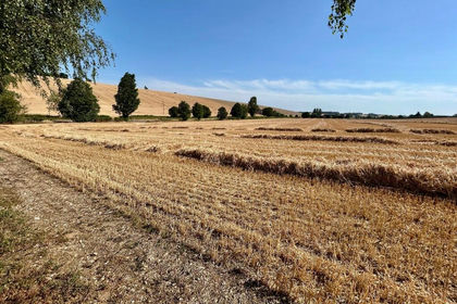 10 acres of Arable Land for sale in Great Shefford