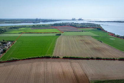 229 acres of Agricultural Land for sale in Shotley