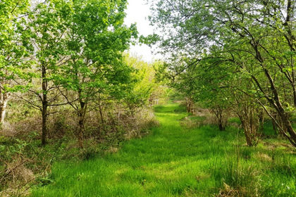 4.7 acres of For sale in Devon