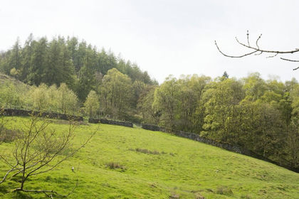 18.3 acres of Pasture for sale in Stonebeck Down
