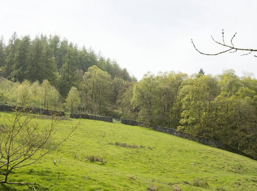 18.3 acres of Pasture for sale in Stonebeck Down