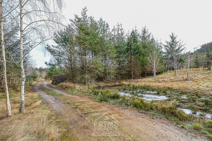 Land for sale in Moray West, Nairn and Strathspey