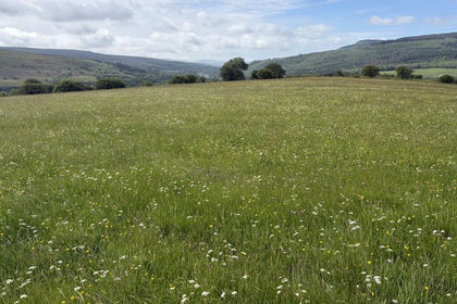 Grazing Land for sale in Crynant