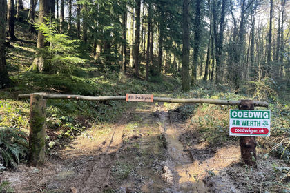 13.8 acres of Woodland for sale in