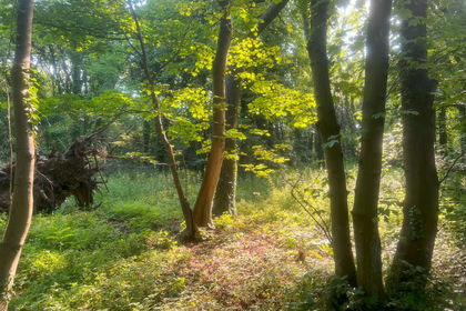 13 acres of For sale in Lancashire