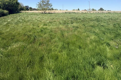Undeveloped Land for sale in Little Witley