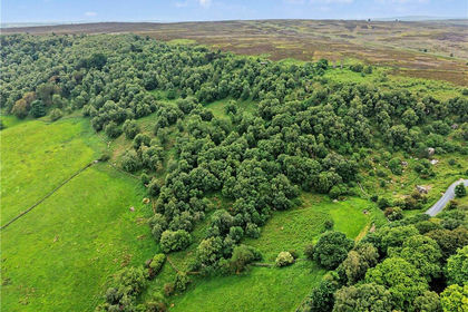 Woodland for sale in Bewerley