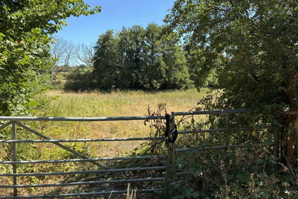 Building Plot for sale in Selborne
