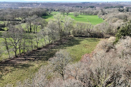 3.6 acres of Agricultural Land for sale in Ellingham, Harbridge and Ibsley