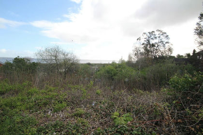 Undeveloped Land for sale in Bagillt