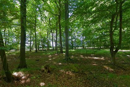 Land for sale in Rotherfield Peppard