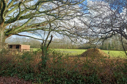 Development Land for sale in Copythorne