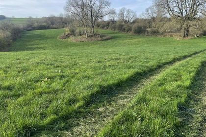 12.4 acres of Grazing Land for sale in Ible