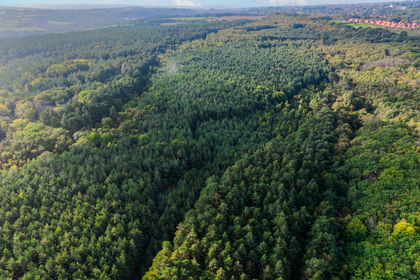 39.9 acres of Woodland for sale in Crowborough