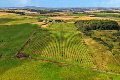 13.2 acres of Fenced Land for sale in Gordon and Buchan