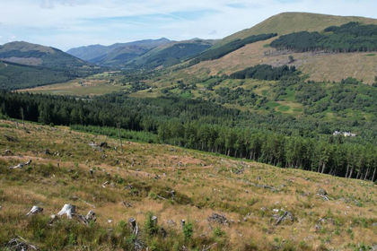 297 acres of Woodland for sale in Stirling and Strathallan
