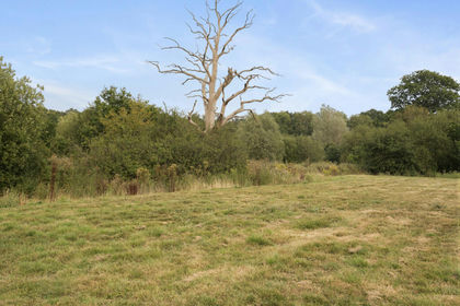 1 acre of House with Land for sale in Bethersden