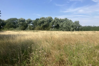 3 acres of Pasture for sale in Fenstanton