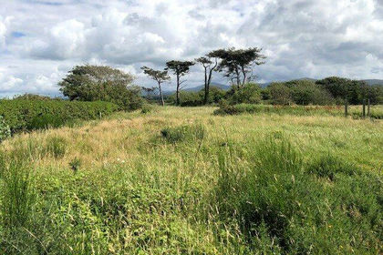 Development Land for sale in Llandwrog