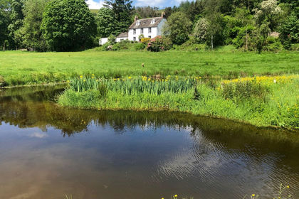 900 acres of Farm for sale in Thornhill