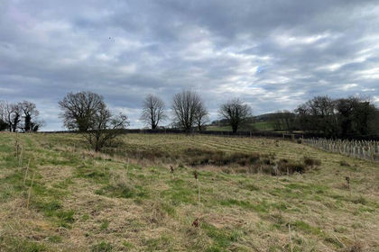 10.8 acres of Recreational Land for sale in Hagworthingham