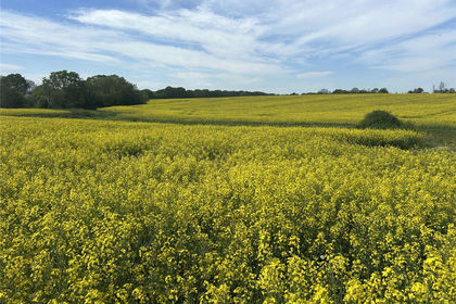 61.1 acres of Agricultural Land for sale in