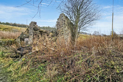 Development Land for sale in Allendale