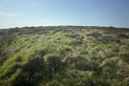 8.4 acres of Grazing Land for sale in Hartington upper Quarter