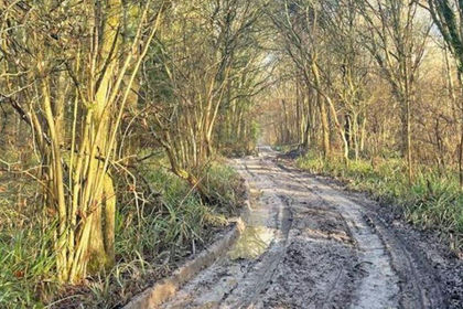 Land for sale in Newdigate