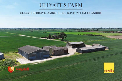 256.3 acres of Farm for sale in Amber Hill