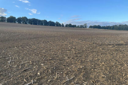 5.5 acres of For sale in Owslebury