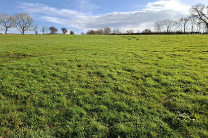 3.3 acres of Agricultural Land for sale in Waterhouses