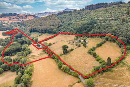 31 acres of Smallholding for sale in Crucorney