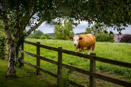 6 acres of Country Home for sale in Leigh
