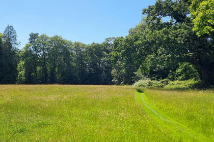 3.6 acres of Building Plot for sale in Brockenhurst