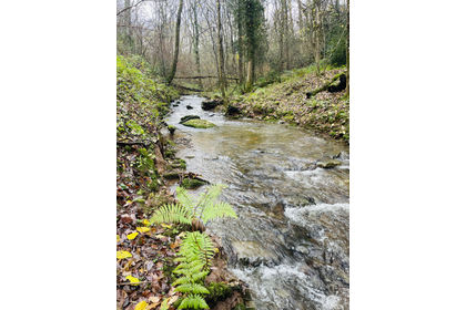 5.5 acres of For sale in Herefordshire