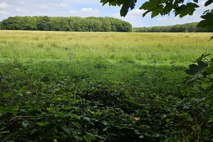 Vacant Land for sale in Burham