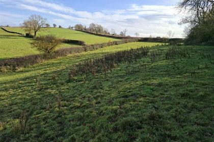 6 acres of Agricultural Land for sale in Waterhouses