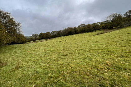 81 acres of Agricultural Land for sale in Maescar