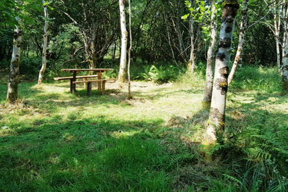 3 acres of Woodland for sale in