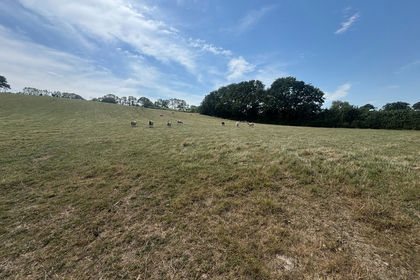 28.2 acres of Agricultural Land for sale in Ivybridge