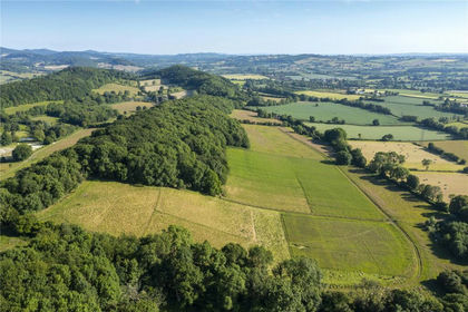 47 acres of Agricultural Land for sale in Suckley