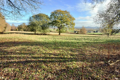 11 acres of Agricultural Land for sale in Bushley