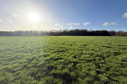 Agricultural Land for sale in Caerwent